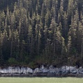 315-9238 Tracy Arm Fjord